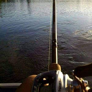 Meet your Posher, Brooklyn